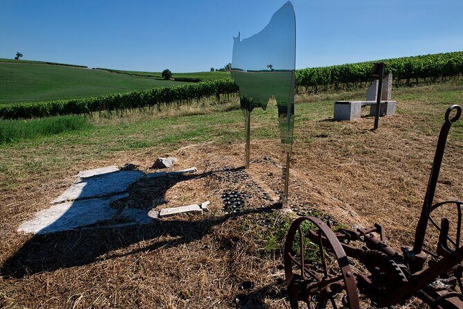1-Hour Experience with Brunello. Visit to the Vineyard and Cellar - Casato Prime Donne isn’t a typical Brunello showroom