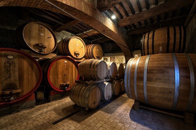 1-Hour Experience with Brunello. Visit to the Vineyard and Cellar - Tastings: what you drink and how the food fits