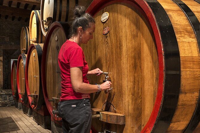 1-Hour Experience with Brunello. Visit to the Vineyard and Cellar - Price and value for a one-hour stop