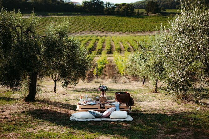 1-Hour Guided Tuscan Wine Tasting in Florence - Price and Value in Florence: $83.40 for 4 Wines and a Guide