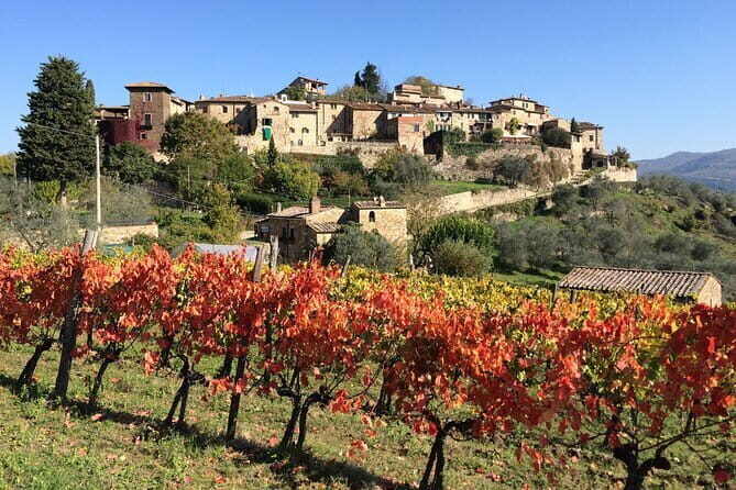 2 wineries Chianti Wine Tasting & Vineyards Walk Private Tour - Florence to Chianti: the ride that sets the tone
