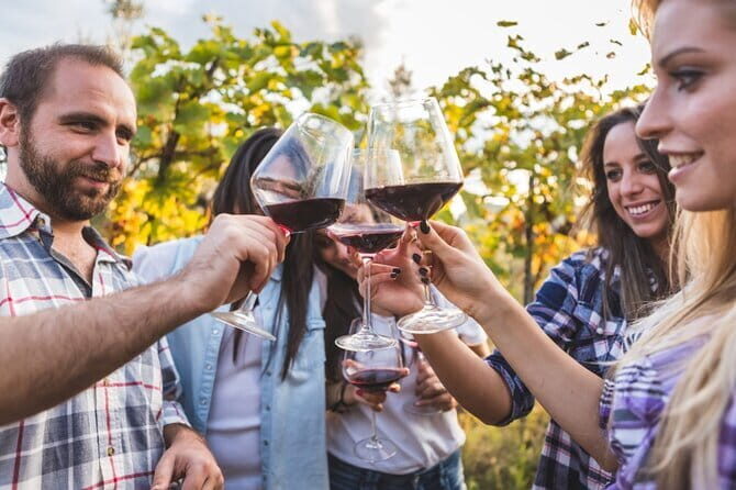 2 wineries Chianti Wine Tasting & Vineyards Walk Private Tour - Walking the Chianti countryside: vineyards, olive groves, and those tall tree lines