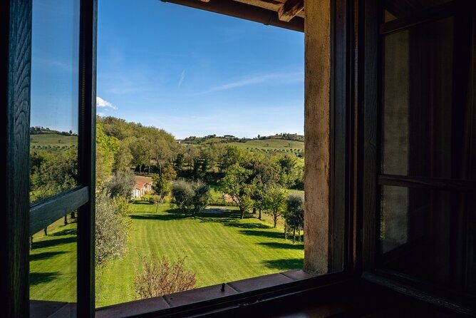 3-day private experience as a winemaker at a wine resort in Tuscany - Pool Downtime and the Millenarian Olive Tree Park