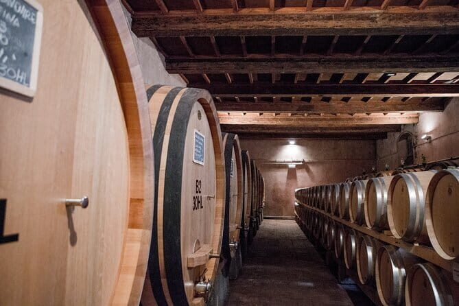 3 Hour Horse Ride to a Castle for Wine Tasting and snack Lunch - 1.5–2 hours in the saddle: what the ride feels like (and why it works)
