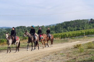 3 Hour Horse Ride to a Castle for Wine Tasting and snack Lunch - The medieval castle winery: your 2-hour tour before you taste
