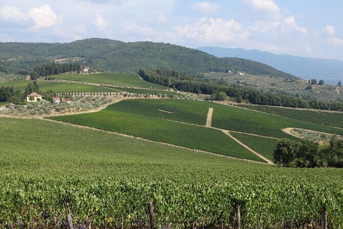 3 Hour Horse Ride to a Castle for Wine Tasting and snack Lunch - Lunch and wine tasting: 3–4 wines, plus a Tuscan-style table