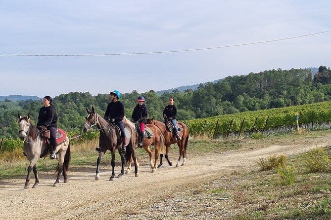 3 Hour Horse Ride to a Castle for Wine Tasting and snack Lunch - The medieval castle winery: your 2-hour tour before you taste