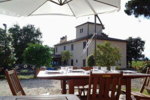 4 Wines & 2 Olive Oils Tasting in Chianti Winery with Tour - The 1.5-Hour Flow: Welcome, Production Walk-Through, Then Tasting