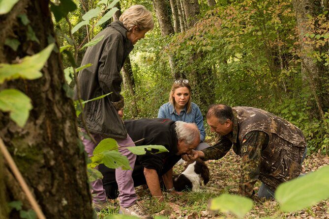 5 Hours Truffle Hunt Experience with Cooking Class - Key Points You’ll Care About