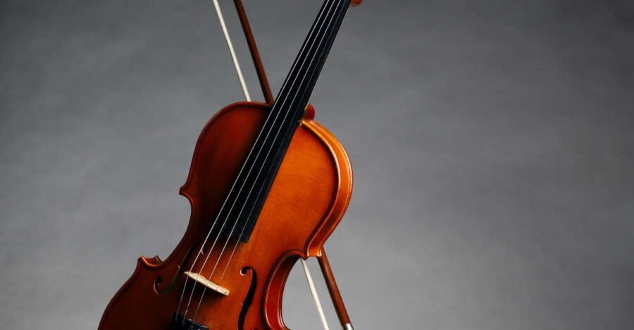 Afternoon Access to Accademia Gallery: David & Stradivarius - Key Things You’ll Appreciate