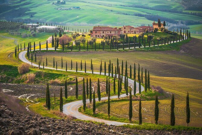 All Tuscany Private Siena San Gimignano & Chianti Livorno Shore Excursion - Time management on a 9-hour shore day: what to pack and expect