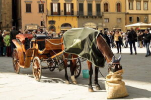 BEST OF FLORENCE Private Walking Tour - Start at the Baptistery: Michelangelo’s doors and the oldest start