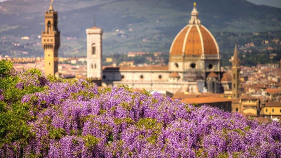 Best of Florence: Private Walking Tour with a Local - Timing, shoes, and what to ask your guide on day one