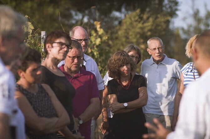 Biodynamic Wine Tasting with Producer in Vinci - What’s included in the tasting: wines, oil, and bruschetta