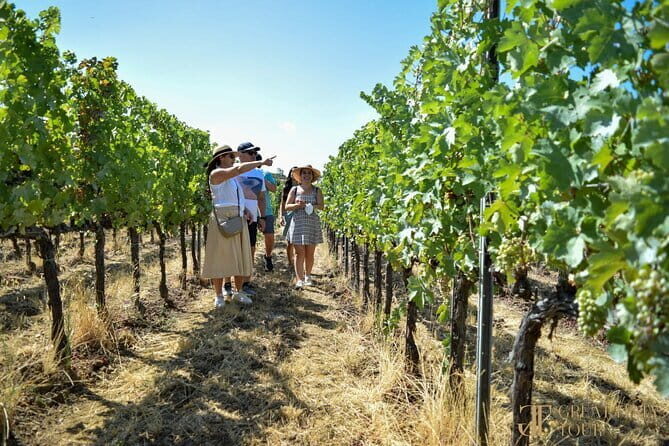 Bocelli Backstage And Wine Day Tour from Florence - Key highlights you’ll feel right away