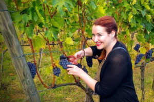 Brunello and Nobile, Wine Lover Tour Montalcino and Montepulciano - Montalcino in 30 minutes: walls, stone streets, and Brunello country