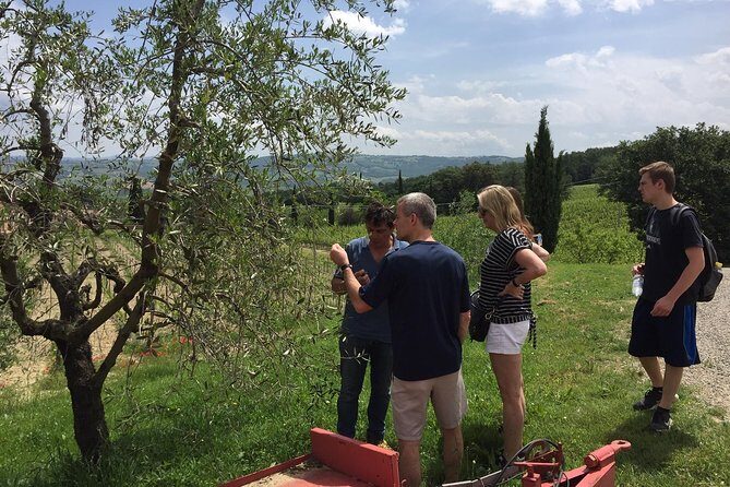 Brunello di Montalcino, small biodynamic wineries - The Small Group Advantage: Guide Attention in the Real World