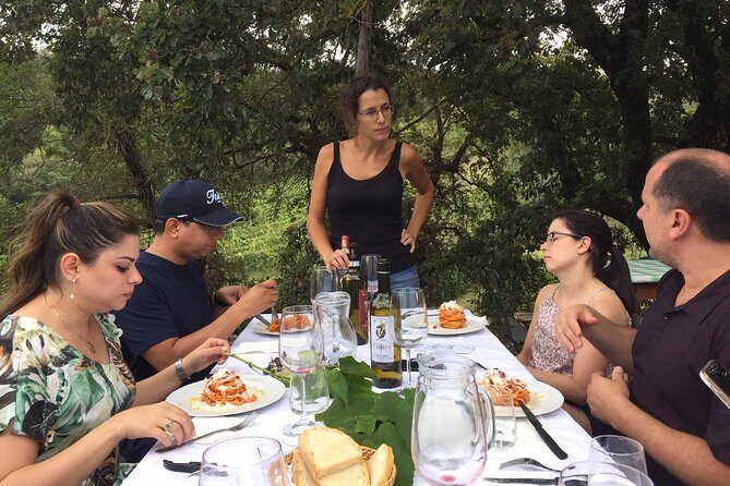 Brunello di Montalcino, small biodynamic wineries - Price, Transport, and Value for a One-Day Brunello Trip