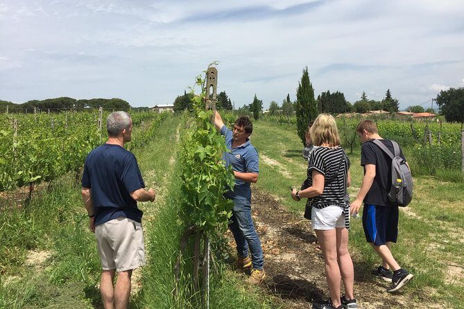 Brunello di Montalcino, small biodynamic wineries - Val d’Orcia (UNESCO) and the Fortezza: Where the Views Earn Their Place