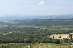 Brunello E-Bike Tour - Abbazia di Sant’Antimo: a real pilgrimage church and a wine stop