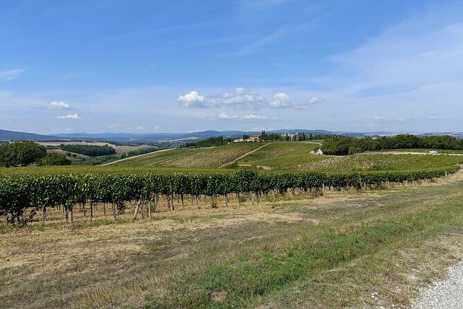 Brunello E-Bike Tour - The vineyard winemaking lesson and tasting you can actually use