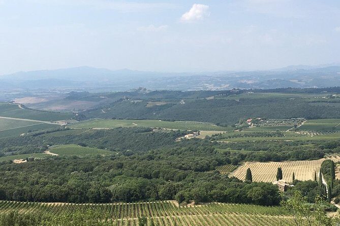 Brunello E-Bike Tour - Abbazia di Sant’Antimo: a real pilgrimage church and a wine stop