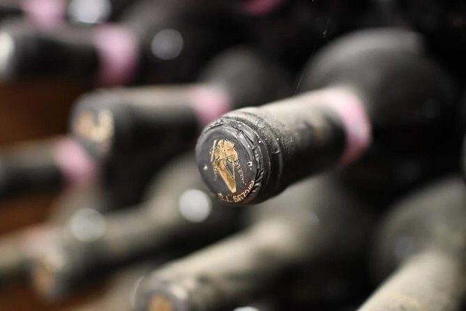 Brunello Vineyards Bus Tour - The Second Winery: Variety in Setting and the Power of Comparison
