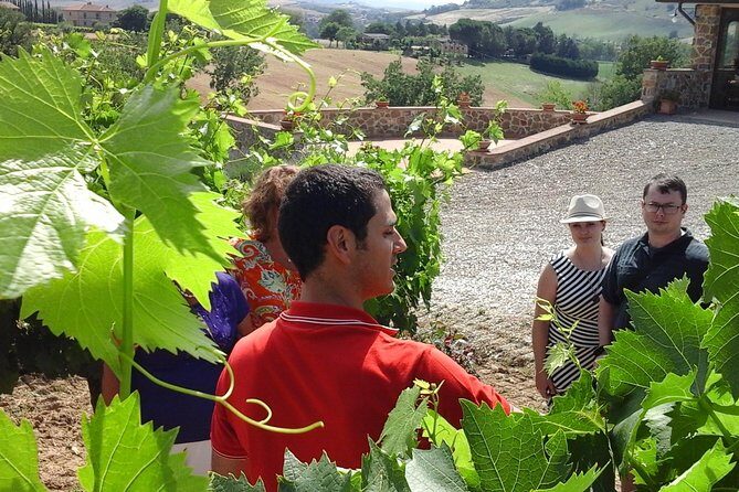 Brunello Vineyards Bus Tour - Price and Value: Is $216.74 Reasonable for a Two-Cellar Experience?