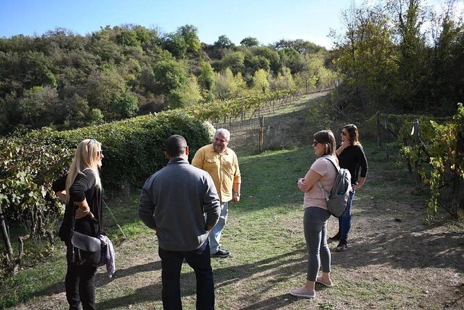 Brunello Vineyards Bus Tour - When to Book: A Plan for Popular Dates and Smooth Timing