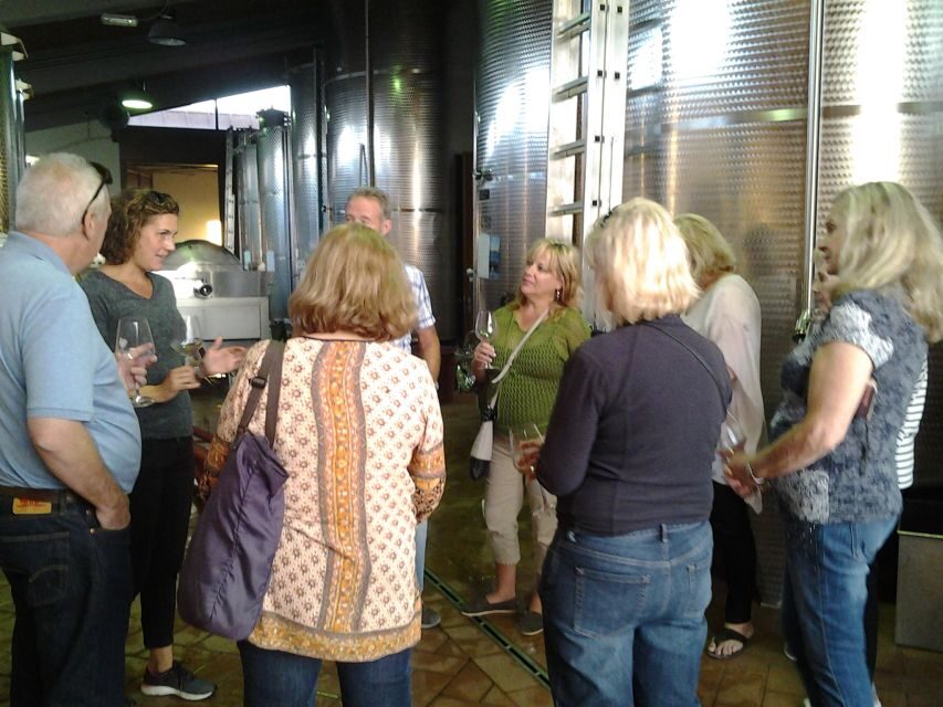 Chianti: 4 Wines +1 Oil Guided Tasting & Tour - The optional vineyard walk: a seasonal bonus, not the main event