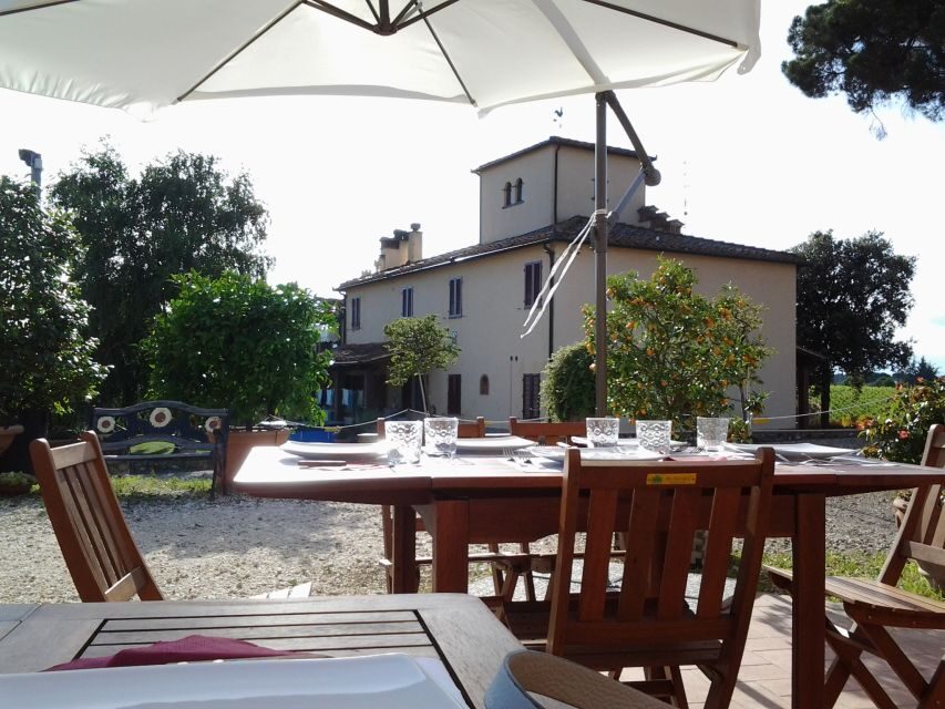 Chianti: 4 Wines +1 Oil Guided Tasting & Tour - Chianti Classico, IGT, and Riserva: how to taste with purpose