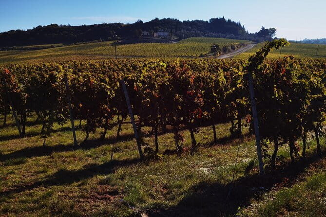 Chianti Classico E-bike Tour - What This Tour Really Is (And Who It Fits)