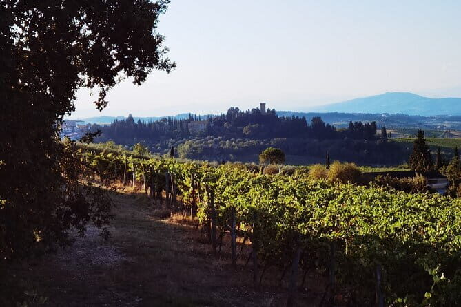 Chianti Classico E-bike Tour - Stop 1: Uphill to Badia a Passignano Monastery
