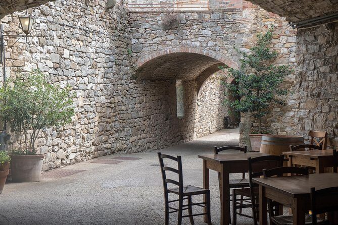 Chianti Classico, Montalcino, Montepulciano by minivan: Wine Tastings & Lunch - Florence to Chianti by minivan: why the timing feels right
