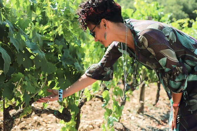 Chianti Classico, Montalcino, Montepulciano by minivan: Wine Tastings & Lunch - The scenic road through Monteriggioni, Crete Senesi, and Val d’Orcia