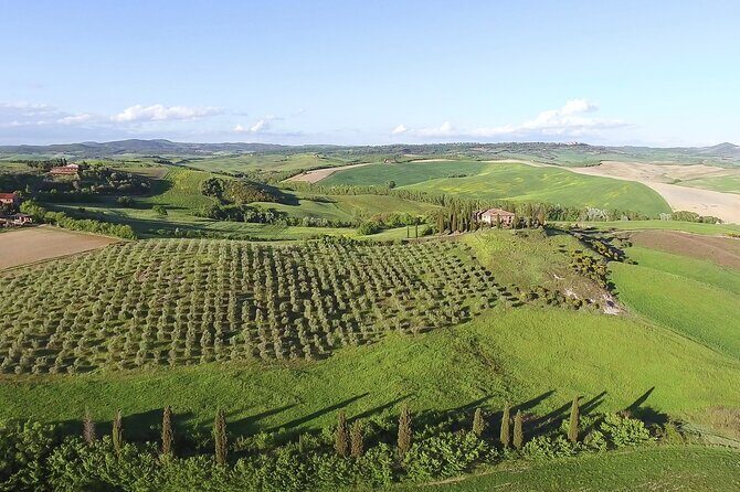 Chianti Classico, Montalcino, Montepulciano by minivan: Wine Tastings & Lunch - Food and wine pairing: how to get the most from every pour