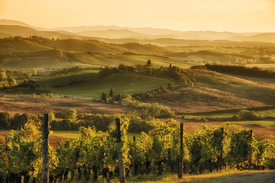 Chianti Countryside Full-Day Tour by Vintage Fiat 500 - Price and Value: Is $146.14 a Good Deal?