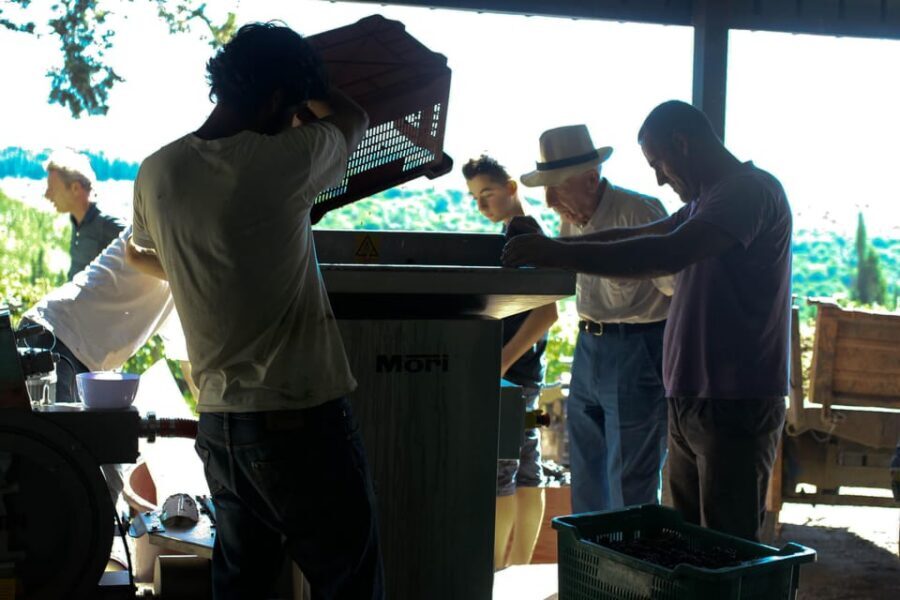 Chianti Organic wine tasting - Torcibrencoli Organic Tasting: What You Actually Get