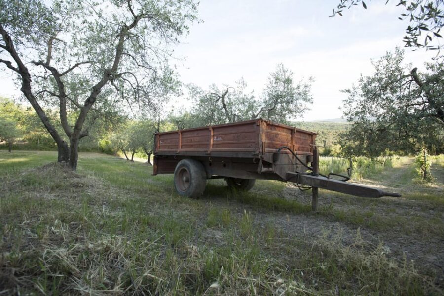 Chianti Organic wine tasting - Meet Federico, Raimondo, and Riccardo: The Family at Work
