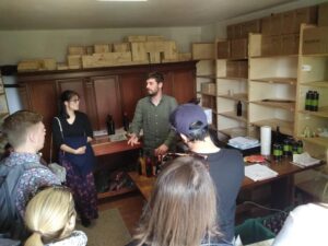 Chianti Organic wine tasting - Vineyard and Cellar Time: Seeing How Wine and Olive Oil Are Made