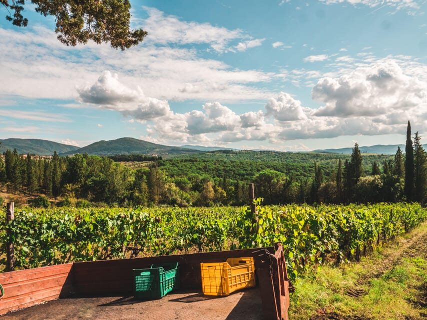 Chianti Organic wine tasting - Pairing It Right: Sheep Cheese, Cold Cuts, Olives, and Seasonal Produce
