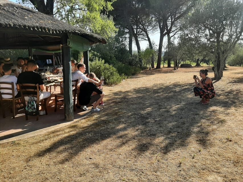 Chianti Organic wine tasting - Price and Value for $68 per Person