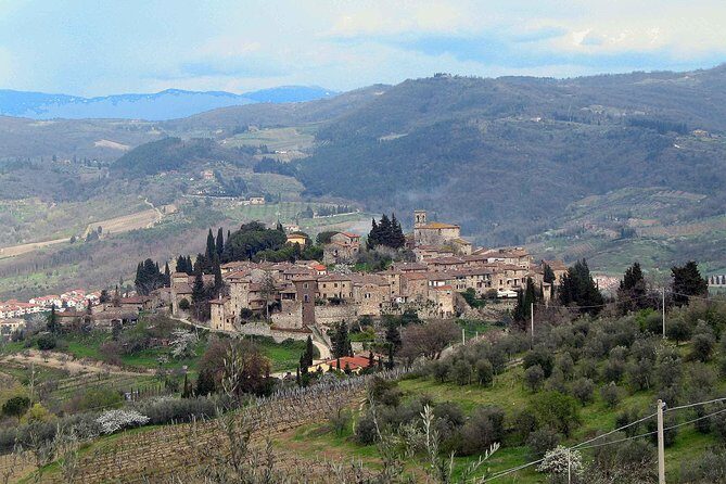 Chianti Region and San Gimignano including wine tasting and light lunch - Montefioralle Winery: A Medieval Stop with a Tasting You Can Use