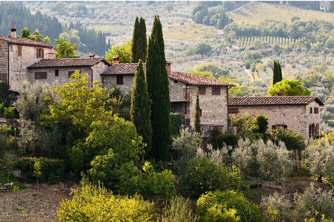 Chianti Region and San Gimignano including wine tasting and light lunch - Price and Value: Why This Costs What It Does