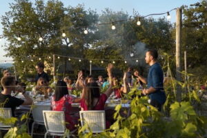 Chianti vineyards: Small-Group tour with wine tasting & Dinner - Price and Value for Money in Chianti
