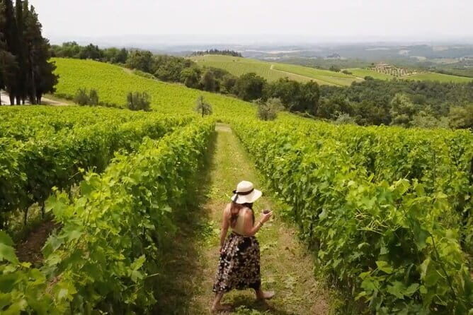 Chianti vineyards: Small-Group tour with wine tasting & Dinner - Getting From Florence to the Vineyard Without Stress