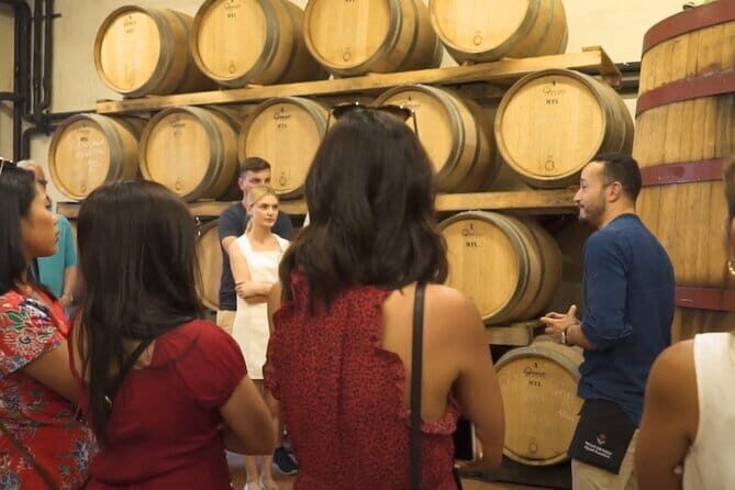 Chianti vineyards: Small-Group tour with wine tasting & Dinner - The Coach Ride: Useful Time, Mixed Audio