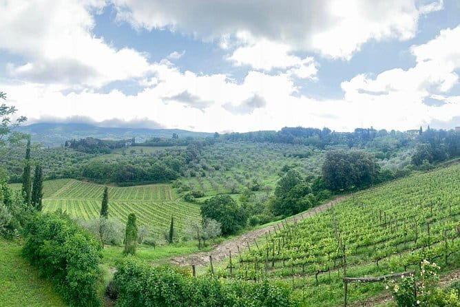 Chianti Vineyards Tours in Private Luxury Van from Florence - Stop 5 at Casa Emma: tasting or lunch with wine tasting among the vines