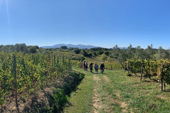 Chianti Wine Tasting Tour from Florence (2 Wineries) - Tuscany Roads: The Long Drive That’s Supposed to Be Part of the Fun