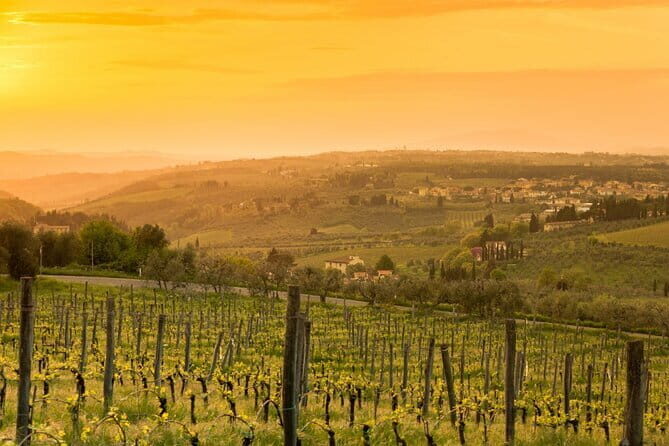 Chianti Wine Tour from Florence to San Gimignano with 2 Wineries - Farm Sant’Appiano-style cellar time and the lunch option